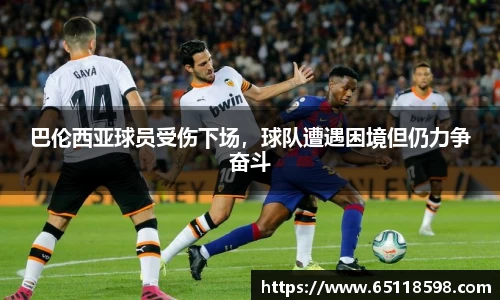 bsports必一体育