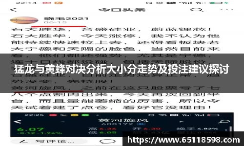 猛龙与黄蜂对决分析大小分走势及投注建议探讨